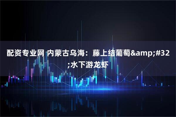 配资专业网 内蒙古乌海：藤上结葡萄&#32;水下游龙虾